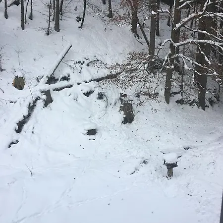 Apartma Atma Kranjska Gora